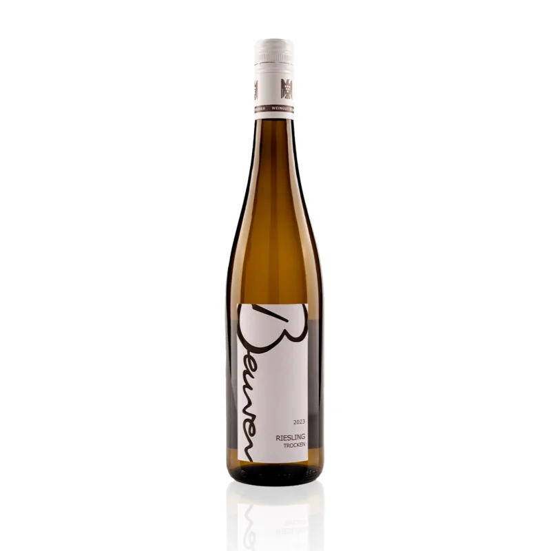 Weingut Beurer GG Riesling Trocken 2023